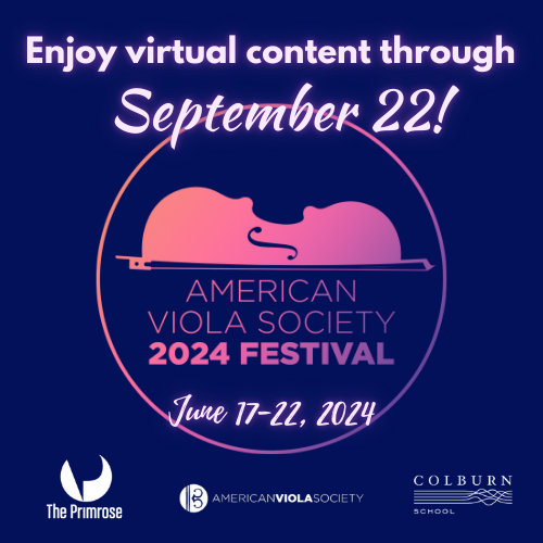 Avs 2024 Festival Graphics
